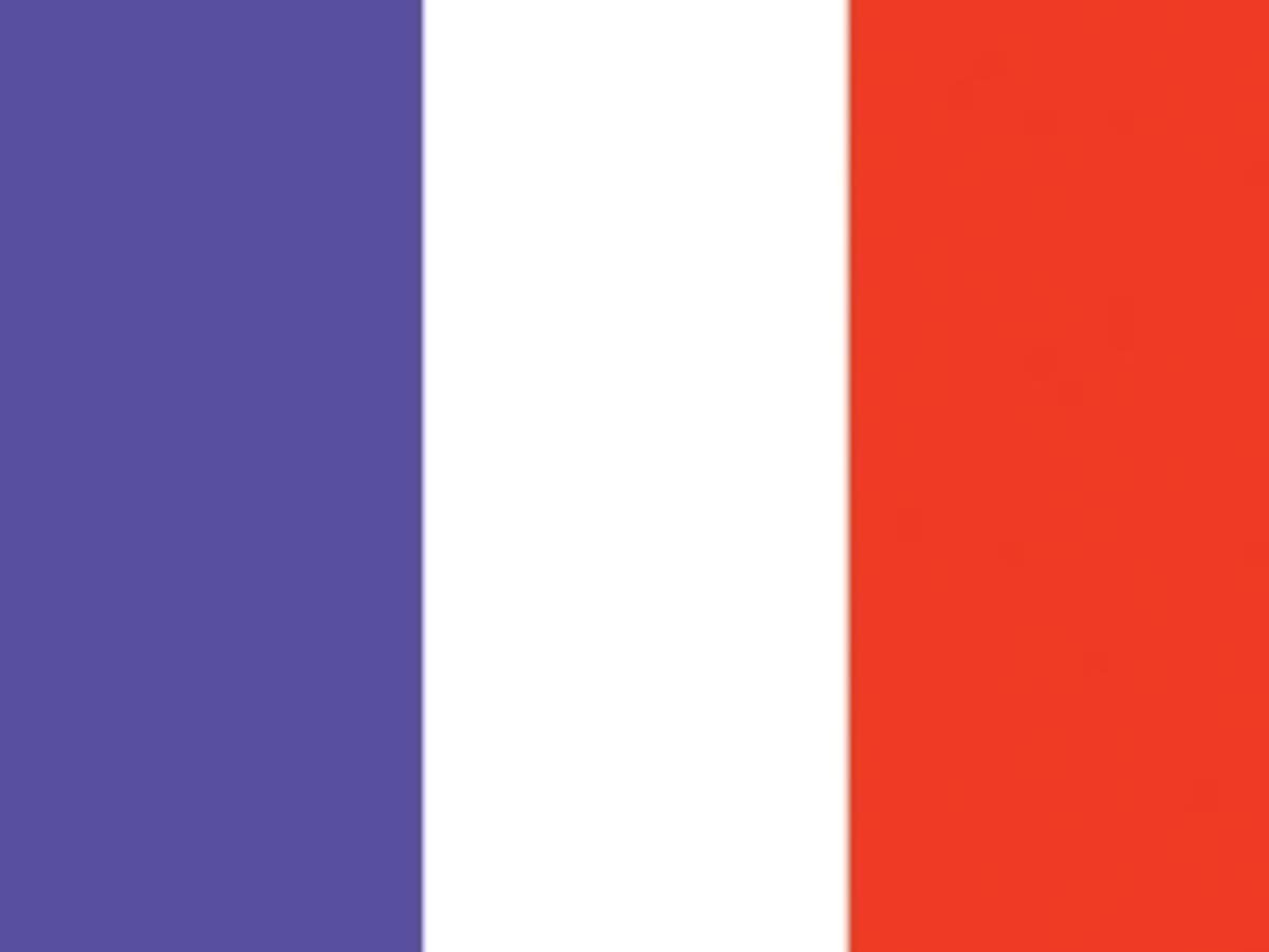 France Flag Template Customization