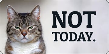 Picture of Pets 13