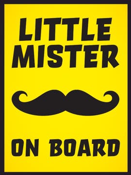 Picture of 24" x 18" Baby On Board 5