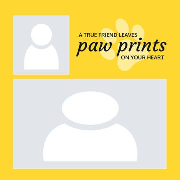 Picture of Metal Prints Pets 8 - 8x8