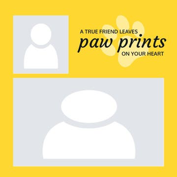 Picture of Metal Prints Pets 8 - 12x12
