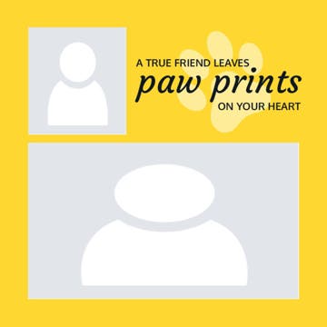 Picture of Acrylic Print Pets 8 - 8x8
