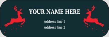 Picture of Holiday Return Address Label 8
