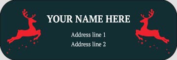 Picture of Holiday Return Address Label 8