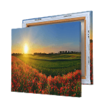 Picture for category Metal Prints