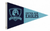 Picture of 3ft x 5ft Pennant Flag PFF