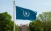 Picture of 3ft x 5ft Nylon Flag PFF
