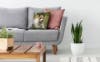 Picture of 16" x 16" Pillow PFF