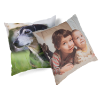 Picture of 16" x 16" Pillow PFF