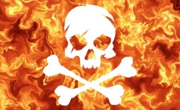 Picture of Novelty Flag 5