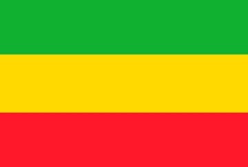 Picture of Novelty Flag 4 - 4x6