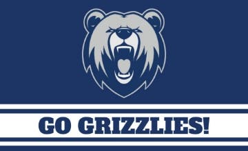 Picture of Sports Flag 1