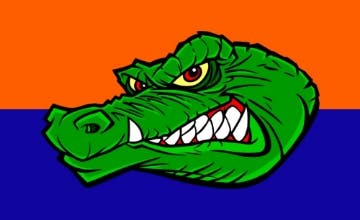 Picture of Sports Flag 2