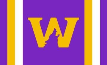 Picture of Sports Flag 5