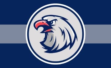 Picture of Sports Flag 6