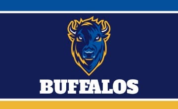 Picture of Sports Flag 8