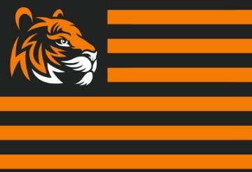 Picture of Sports Flag 4 - 2x3