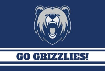 Picture of Sports Flag 1 - 4x6