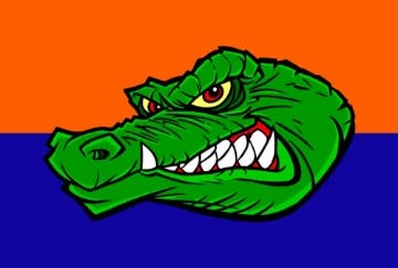 Picture of Sports Flag 2 - 4x6