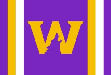 Picture of Sports Flag 5 - 4x6