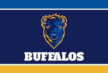 Picture of Sports Flag 8 - 4x6