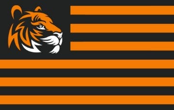 Picture of Sports Flag 4- 5x8