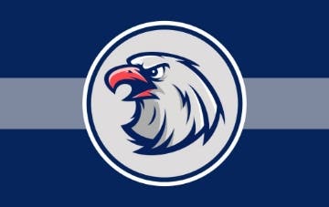 Picture of Sports Flag 6- 5x8