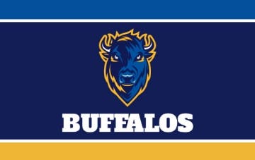 Picture of Sports Flag 8- 5x8