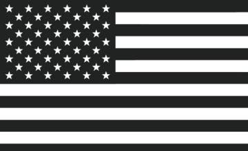 Picture of Black/White American Flag