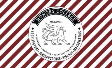 Picture of School Flag 2