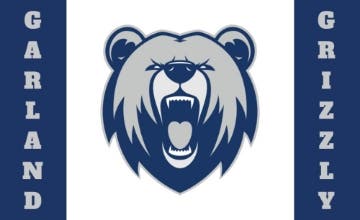 Picture of School Flag 3