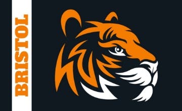 Picture of School Flag 6