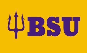 Picture of School Flag 7