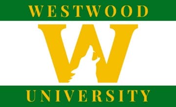 Picture of School Flag 8