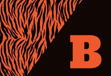 Picture of School Flag 5- 2x3