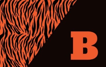 Picture of School Flag 5- 5x8