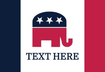 Picture of Political Flags 7- 2x3