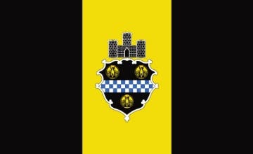 Picture of Pittsburgh, PA Flag