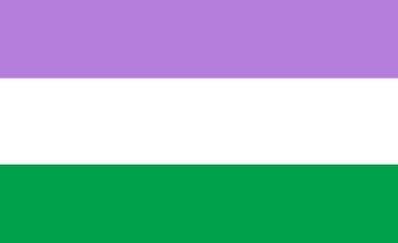 Picture of Genderqueer Pride Flag