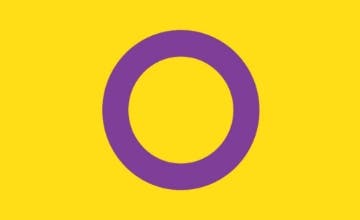 Picture of Intersex Pride Flag