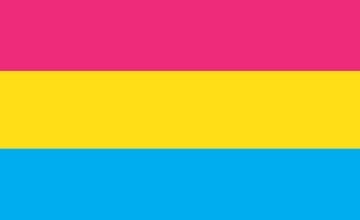 Picture of Pansexual Pride Flag