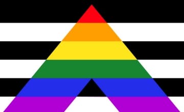 Picture of Straight Ally Pride Flag