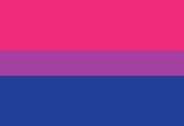 Picture of Bisexual Pride Flag- 2x3