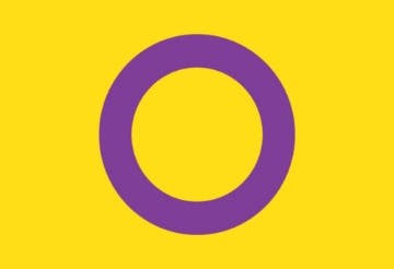 Picture of Intersex Pride Flag- 2x3