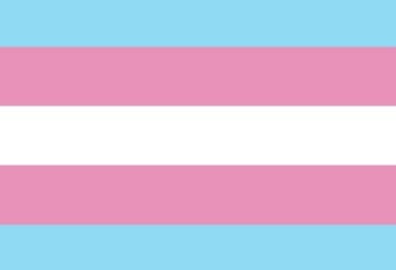 Picture of Trans Pride Flag- 2x3
