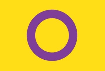 Picture of Intersex Pride Flag- 4x6