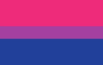 Picture of Bisexual Pride Flag- 5x8
