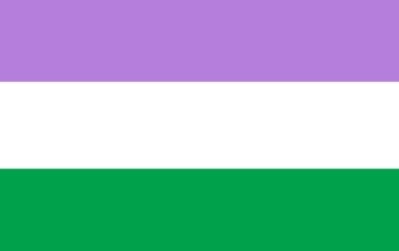 Picture of Genderqueer Pride Flag- 5x8
