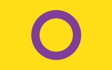 Picture of Intersex Pride Flag- 5x8