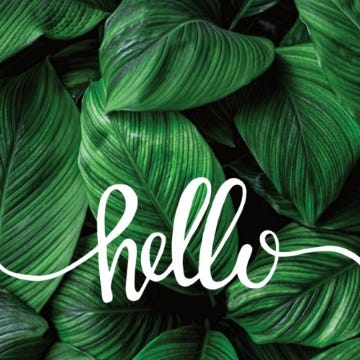 Picture of BC - Beauty & Spa 1 - 2.5" x 2.5" Double Sided